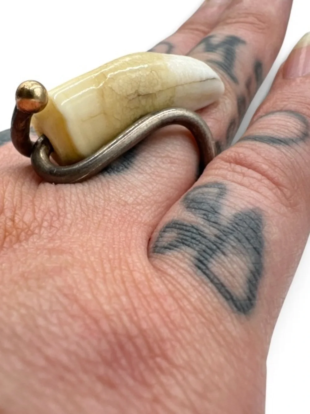 Sterling Silver 14K Gold Hyena Tooth Ring Taxidermy Oddities Statement Ring